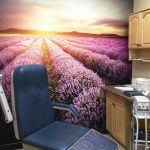 Ronkonkoma NY Podiatry Interior photo: Relaxing patient chair in treatment room with sunset over lavender fields photo mural