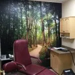 Ronkonkoma NY Podiatry Interior photo: Relaxing patient chair in treatment room with forest road photo mural