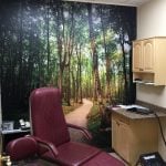 Ronkonkoma NY Podiatry Interior photo: Relaxing patient chair in treatment room with forest road photo mural